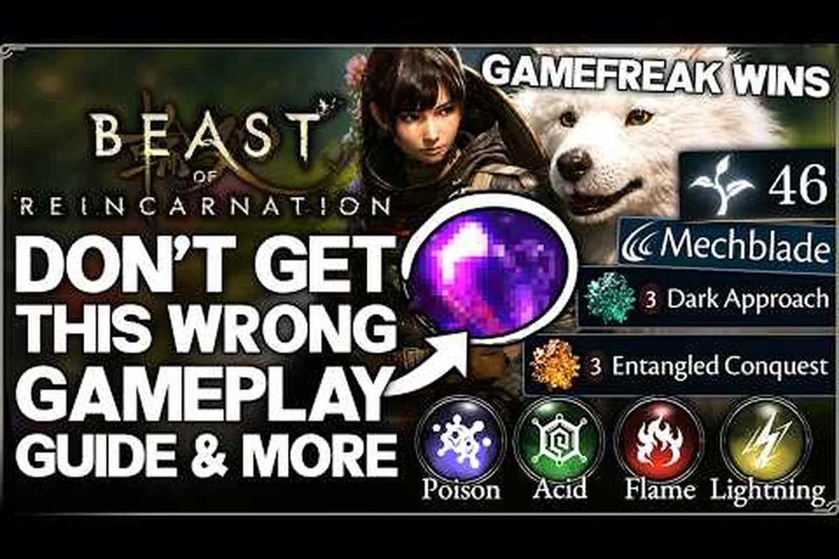 the game Beast of Reincarnation Character Progression and Build Synergy Guide